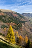 17_Ancora colori